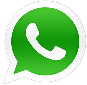 Désormais, Packforce est également accessible par WhatsApp